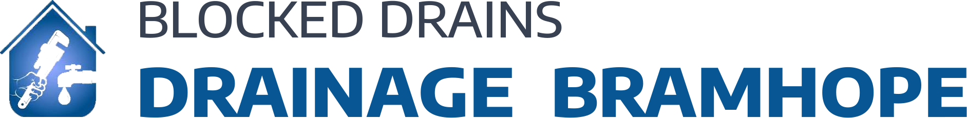 website logo